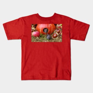 Autumn wild mice with a halloween pumpkin Kids T-Shirt